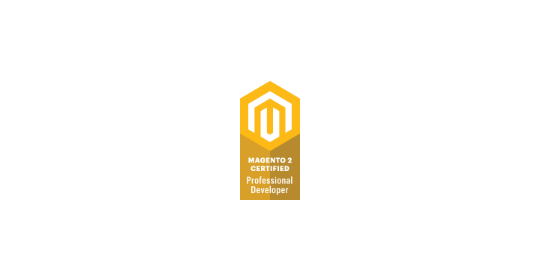 Magento 2 Certified Professional Developer preview image